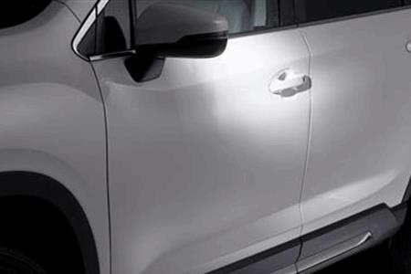 EXTERIOR  Auto Dimming mirror with Approach Light